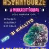 Ásványbörze a Csepeli Munkásotthonban